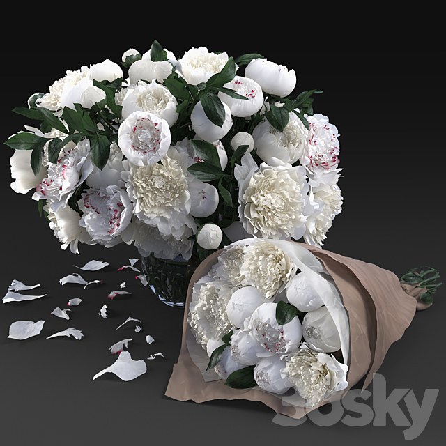 White Peonies 3DSMax File - thumbnail 1