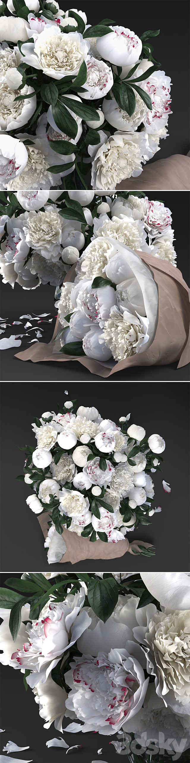 White Peonies 3DSMax File - thumbnail 2