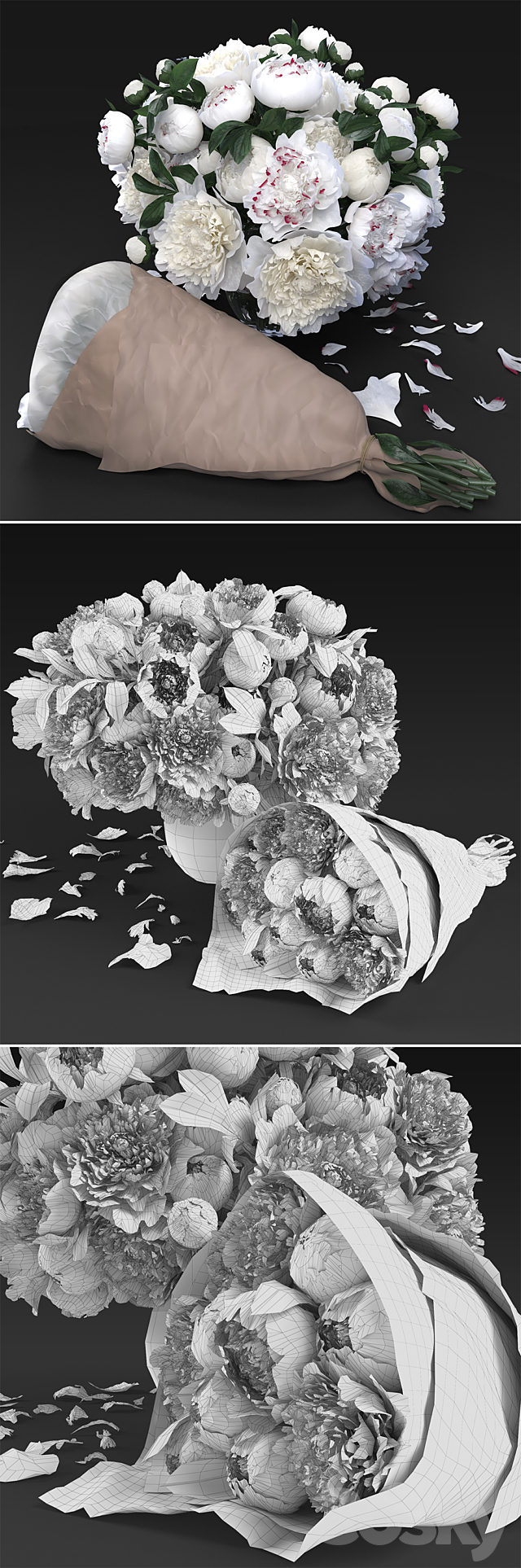 White Peonies 3DSMax File - thumbnail 3