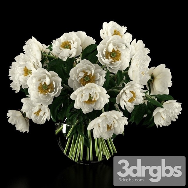 White Peonies Bouquet 3dsmax Download - thumbnail 1