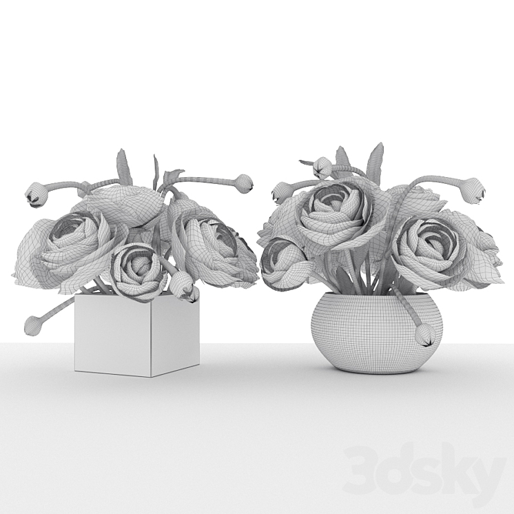 White ranunkulyusy 3DS Max - thumbnail 2