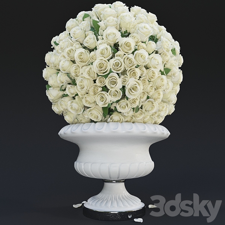 White Roses 3DS Max - thumbnail 1