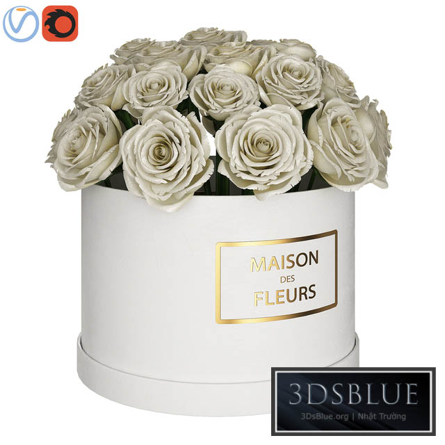 White roses in box 3DS Max - thumbnail 3