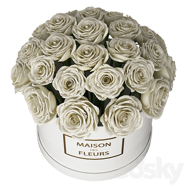 White roses in box 3DSMax File - thumbnail 2