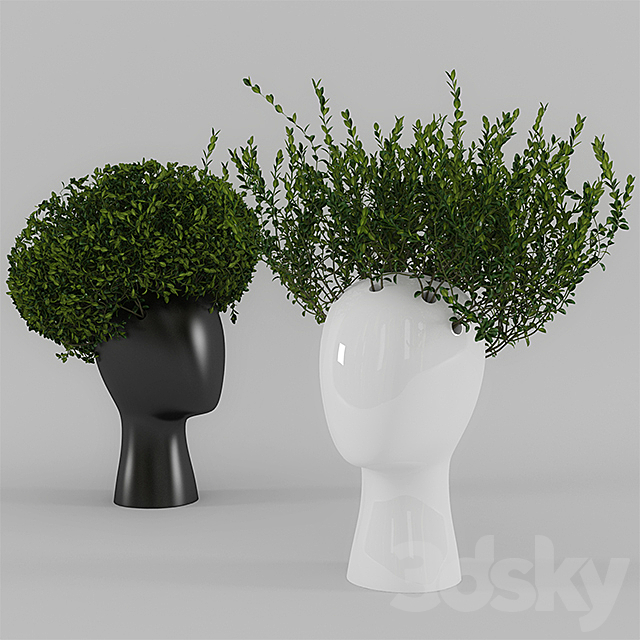 Wig vase with boxwood (part 1) 3DSMax File - thumbnail 1