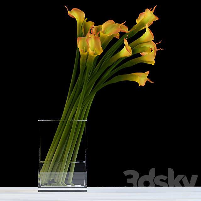 Yellow calla 3ds Max - thumbnail 1