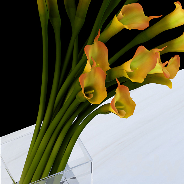 Yellow calla 3ds Max - thumbnail 2