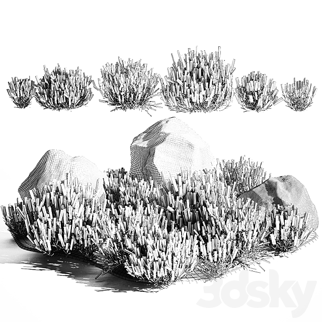 A set of lavender bushes for the garden and alpine slide boulder stone catnip sage wild flowers. 1191 3DS Max Model - thumbnail 6