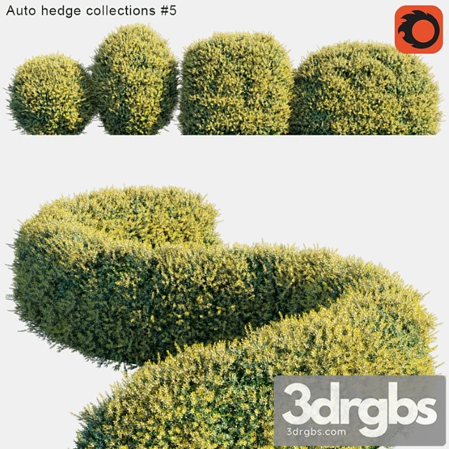 Auto hedge collections _1 - thumbnail 1