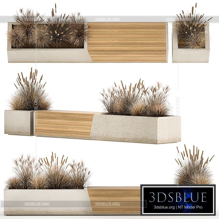 Bench flowerbed for the urban environment in a concrete flowerpot with bushes of reeds and dried flowers dry grass. 1142. 3DS Max - thumbnail 3