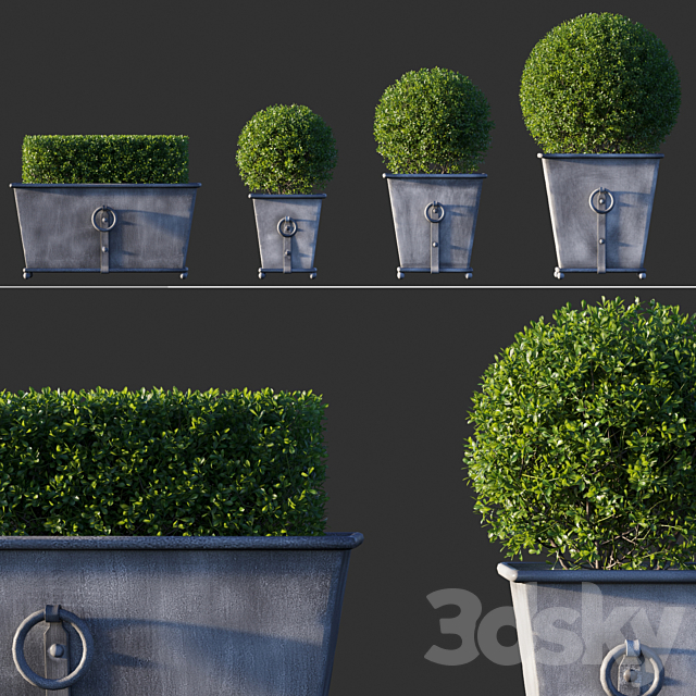 Boxwood RH Estate Zinc Ring Square 3DSMax File - thumbnail 1