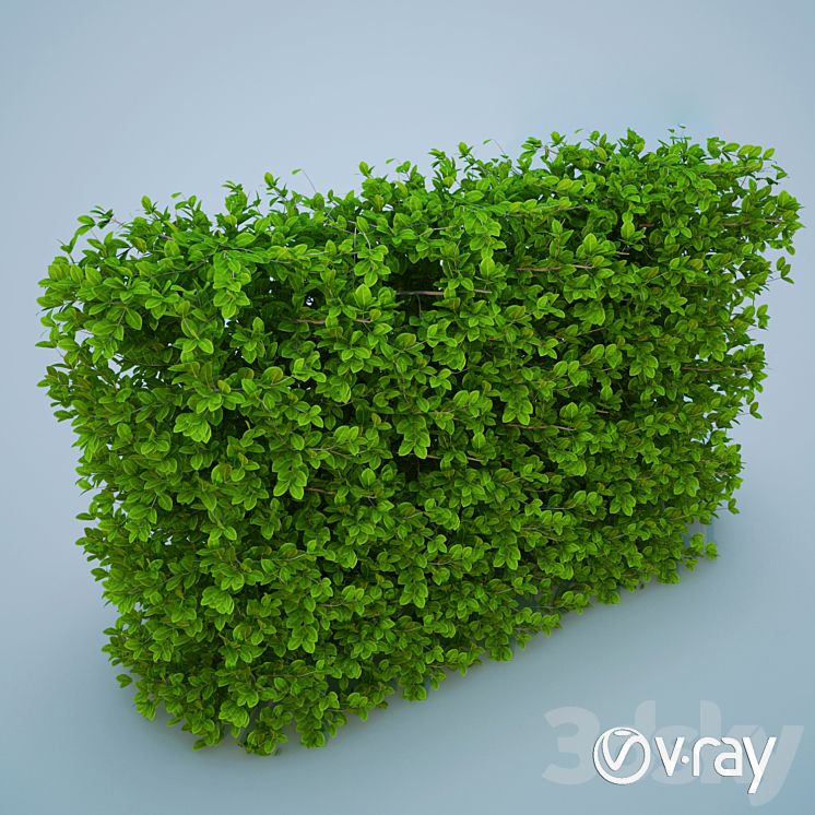 Bush 3DS Max - thumbnail 1