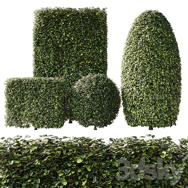 Bush Collection Shrubs cube-oval-circle and rectangle 02 3ds Max - thumbnail 1