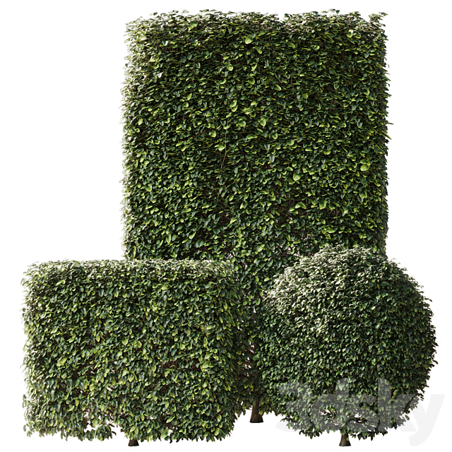 Bush Collection Shrubs cube-oval-circle and rectangle 02 3ds Max - thumbnail 2