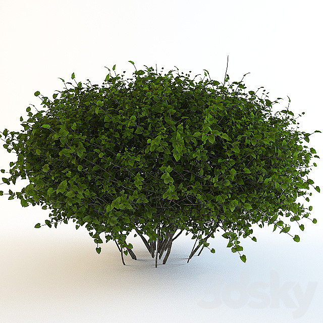 Bush continuation 3ds Max - thumbnail 1