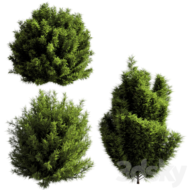 bush outdoor grass 053 3ds Max - thumbnail 1