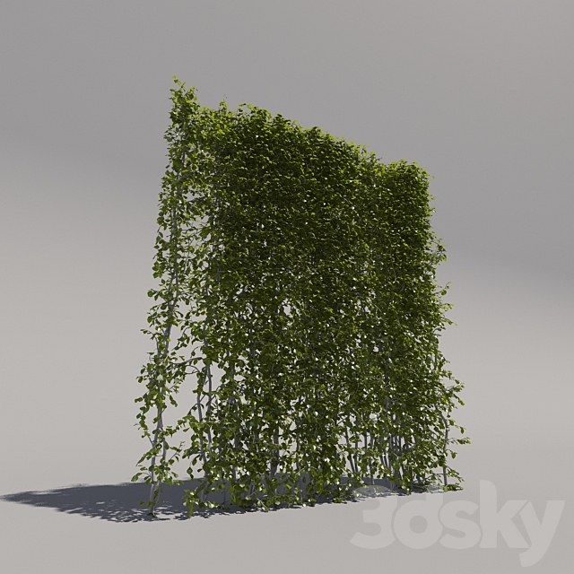 Bush trimmed high 3DS Max Model - thumbnail 2