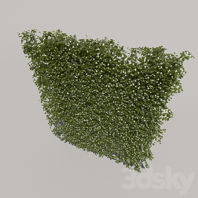 Bush trimmed high 3DS Max Model - thumbnail 3