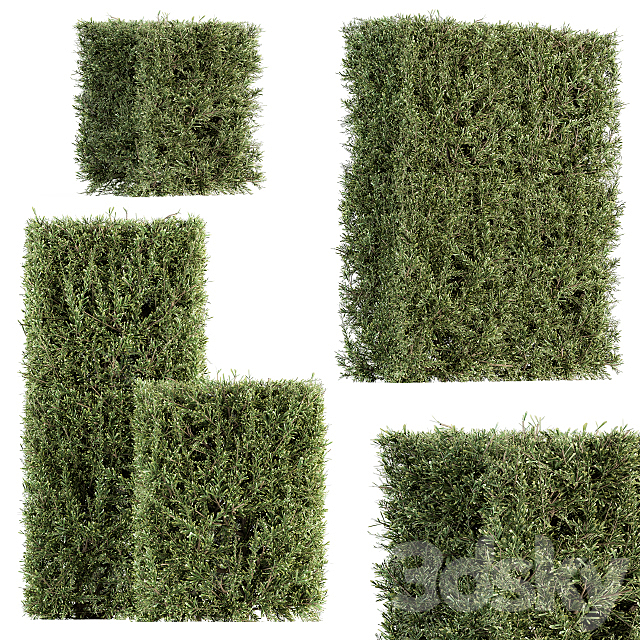 Bush wall Needle – Bush Set 19 3ds Max - thumbnail 1