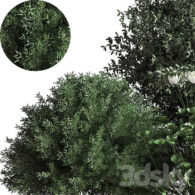 Bush04 3DS Max Model - thumbnail 3