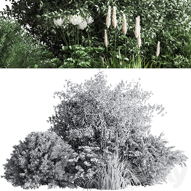 Bush04 3DS Max Model - thumbnail 6