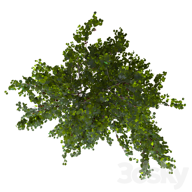 cherry bush 3DSMax File - thumbnail 2