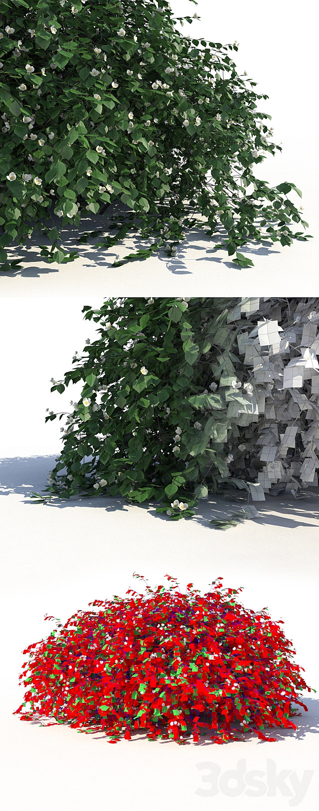 Chubushnik (jasmine) with lying on the ground branches and leaves 3DS Max Model - thumbnail 2