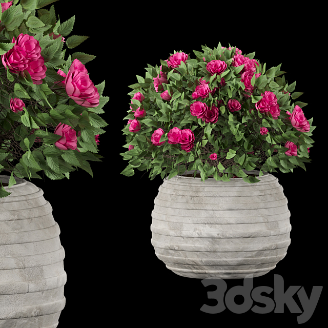 collection flowering bush vol 16 3ds Max - thumbnail 2