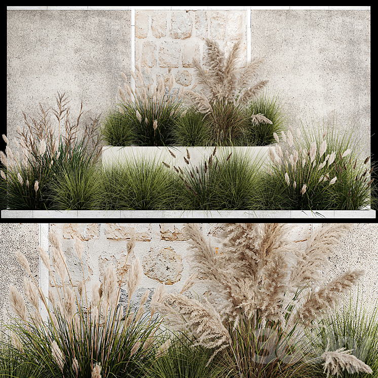 Collection of flowerbed plants and bushes with grass for landscaping pampas grass cortaderia and white reeds. 1126. 3DS Max Model - thumbnail 1