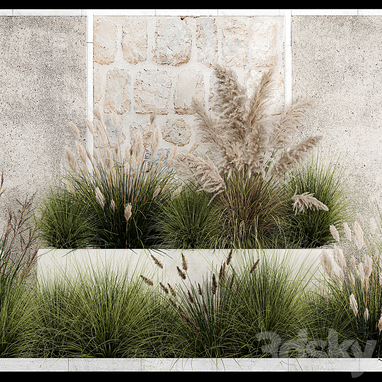 Collection of flowerbed plants and bushes with grass for landscaping pampas grass cortaderia and white reeds. 1126. 3DS Max - thumbnail 2