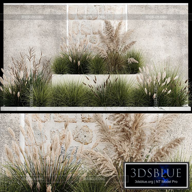 Collection of flowerbed plants and bushes with grass for landscaping pampas grass cortaderia and white reeds. 1126. 3DS Max - thumbnail 3