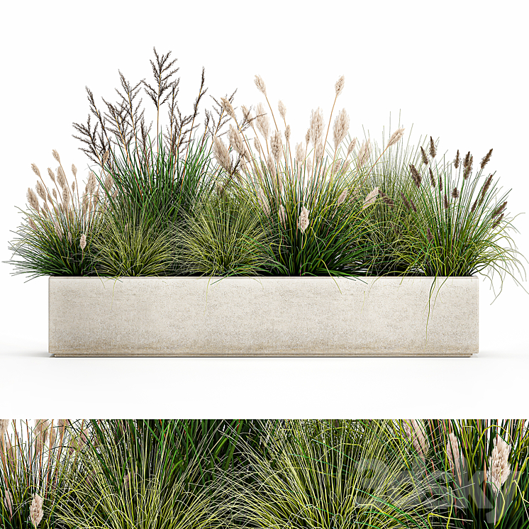 Collection of plants in a pot with pampas grass reeds flowerbed bushes landscaping. Set 1076. 3DS Max Model - thumbnail 1