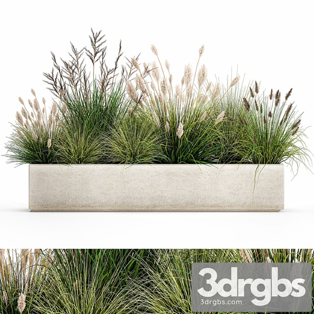 Collection of plants in a pot with pampas grass, reeds, flowerbed, bushes, landscaping. set 1076. - thumbnail 1