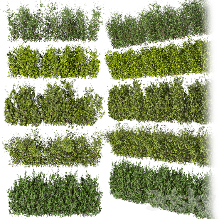 Collection plant vol 309 – bush – outdoor – leaf 3DS Max Model - thumbnail 1