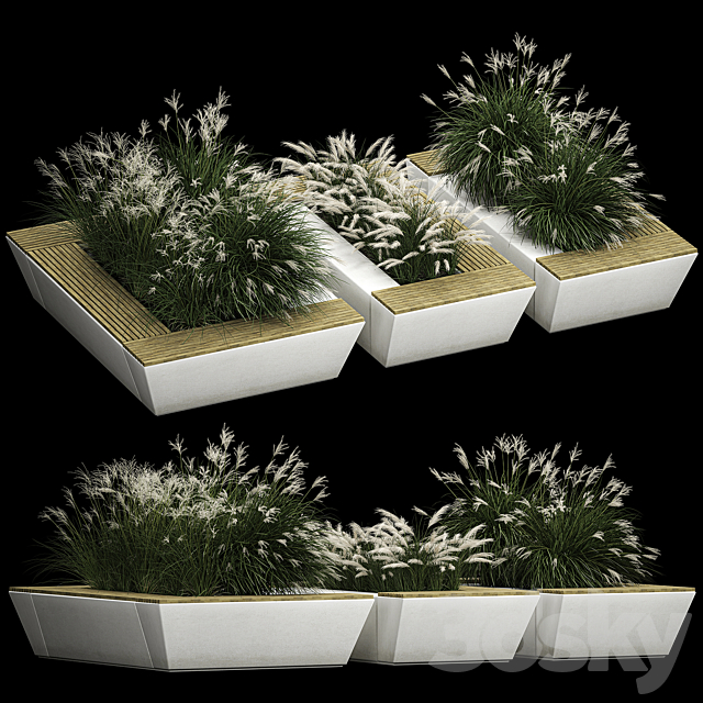 Concrete flower bed bench with bushes from Miscanthus and feather grass grass for the urban environment bench. 1133. 3ds Max - thumbnail 1