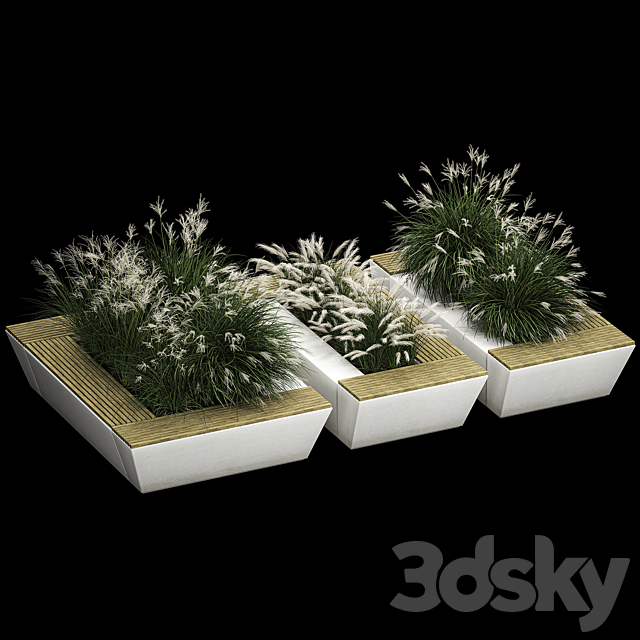 Concrete flower bed bench with bushes from Miscanthus and feather grass grass for the urban environment bench. 1133. 3ds Max - thumbnail 3