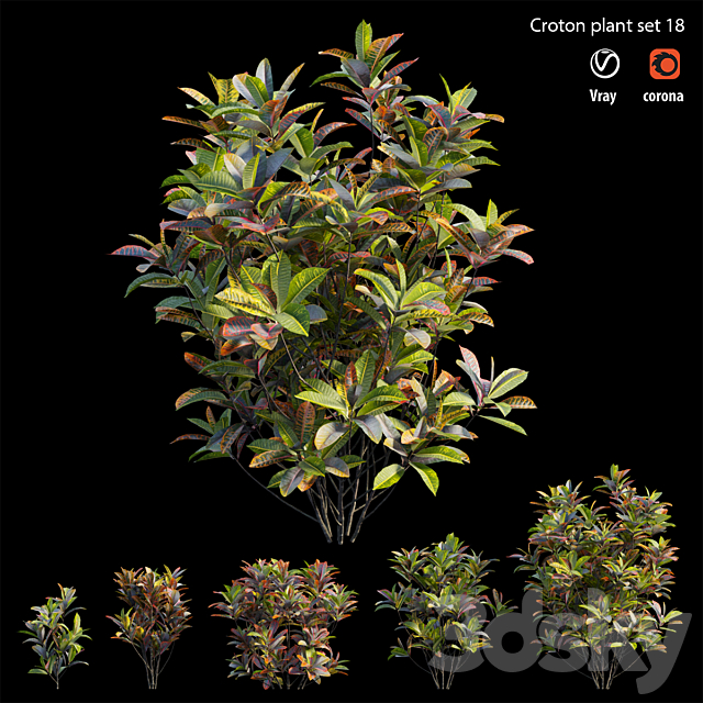 Croton plant set 18 3ds Max - thumbnail 1