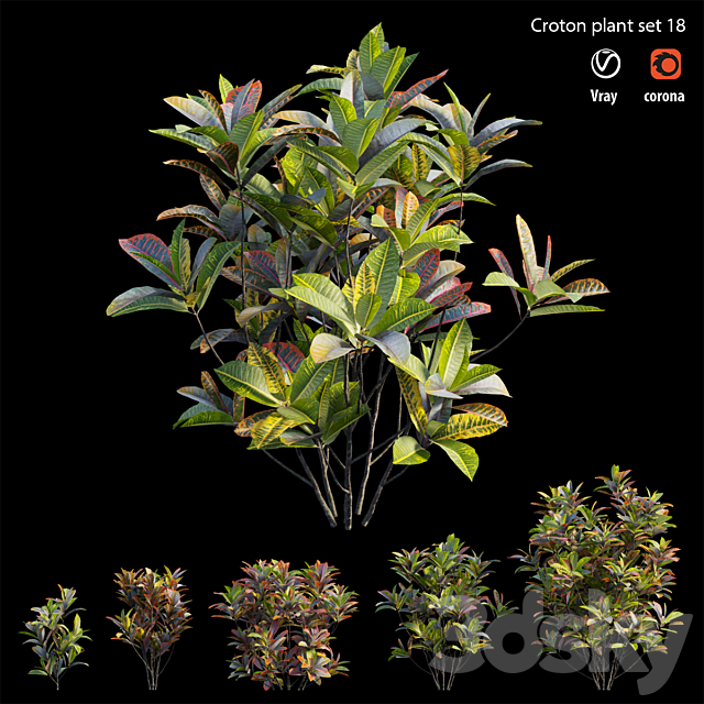 Croton plant set 18 3ds Max - thumbnail 2