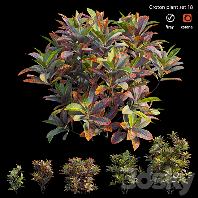 Croton plant set 18 3ds Max - thumbnail 3