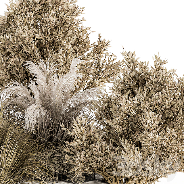 Dried Wild Plants Bush – Bush Set 36 3DS Max Model - thumbnail 2