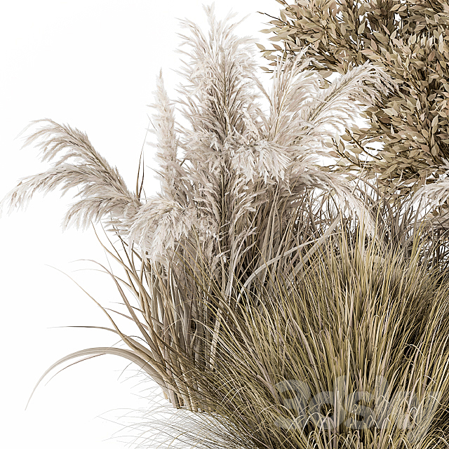 Dried Wild Plants Bush – Bush Set 36 3DS Max Model - thumbnail 3