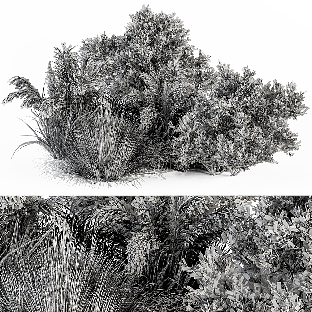 Dried Wild Plants Bush – Bush Set 36 3DS Max Model - thumbnail 4