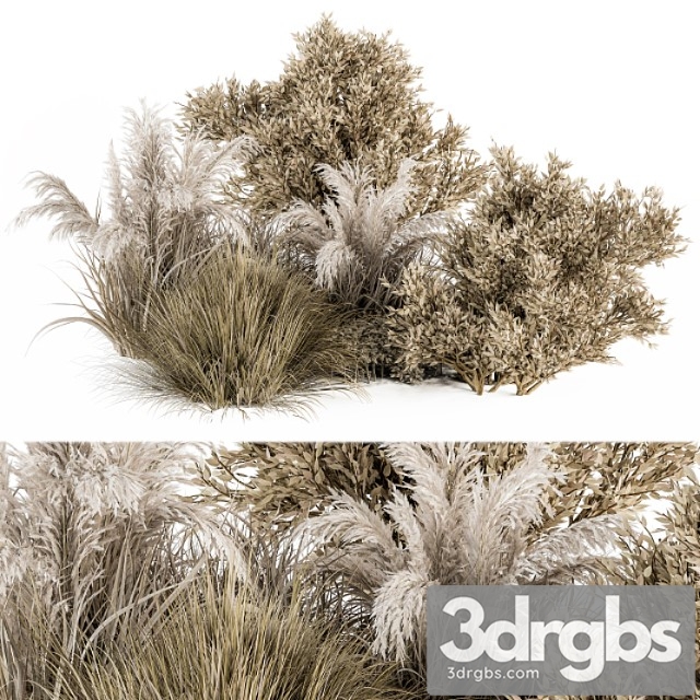 Dried wild plants bush – bush set 36 - thumbnail 1