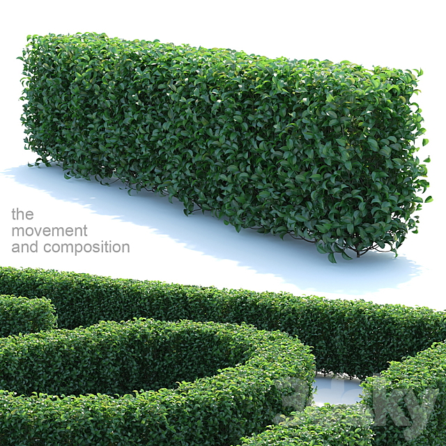 Editable bush ordinary privacy 3ds Max - thumbnail 1