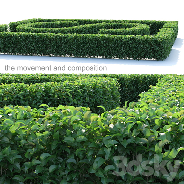 Editable bush ordinary privacy 3ds Max - thumbnail 3