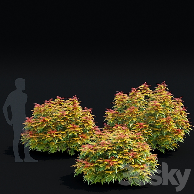 Fieldfare bushes | Sorbaria sorbifolia v3 3ds Max - thumbnail 2