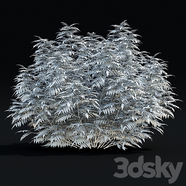 Fieldfare bushes | Sorbaria sorbifolia v3 3ds Max - thumbnail 3