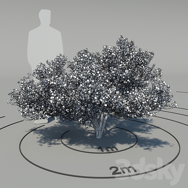 Flowering dogwood (Cornus florida) 3ds Max - thumbnail 2