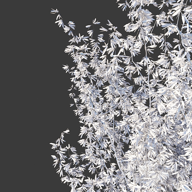 Forsythia Medium _ Forsythia intermedia 3DS Max Model - thumbnail 3