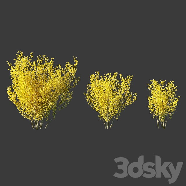 Forsythia Medium _ Forsythia intermedia 3dsMax Model - thumbnail 1